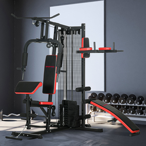 Stenvik Multi-Function Home Gym Station